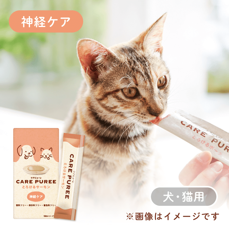 CARE PUREE（ケアピューレ）  とろけるサーモン（神経ケア）
