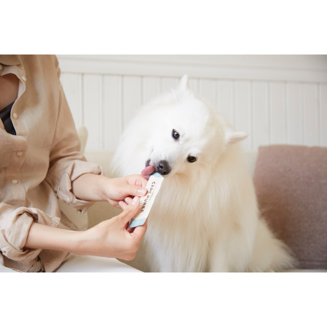 CARE PUREE(ケアピューレ) とろける鯛(口腔ケア) – anicomselect CARE PUREE(ケアピューレ) とろける鯛(口腔ケア) – anicomselect