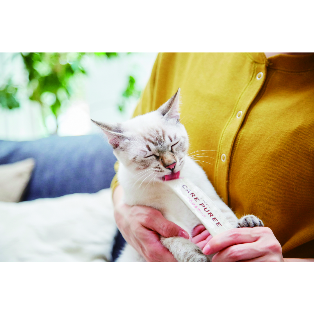 CARE PUREE(ケアピューレ) とろける鯛(口腔ケア) – anicomselect CARE PUREE(ケアピューレ) とろける鯛(口腔ケア) – anicomselect