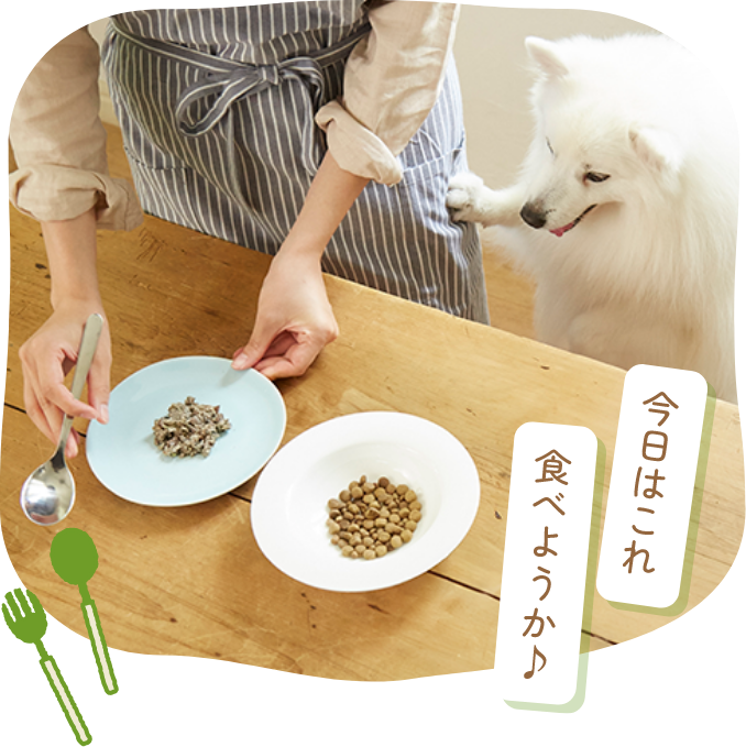 普段のフードに7Days Foodをトッピングする様子